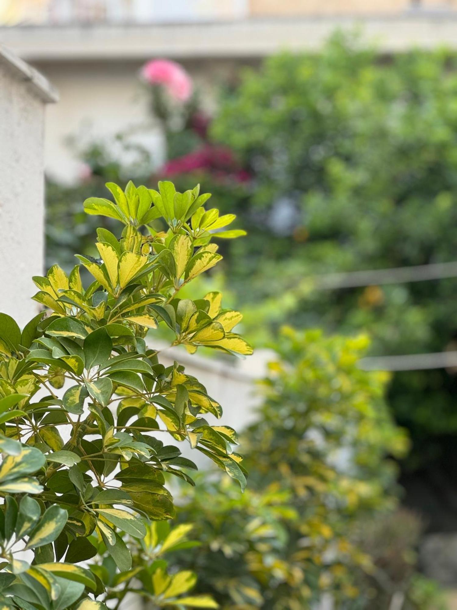Μονοκατοικία «Maizonette Passaggio G» Volos Exteriör bild